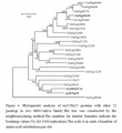 Thumbnail for version as of 17:11, 28 May 2014