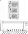 Thumbnail for version as of 14:10, 4 June 2014