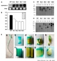 Thumbnail for version as of 02:58, 30 May 2014