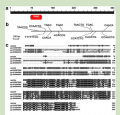 Thumbnail for version as of 16:24, 8 June 2014