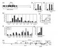 Thumbnail for version as of 08:01, 9 June 2014