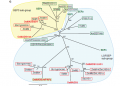 Thumbnail for version as of 09:01, 23 May 2014