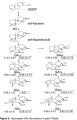Thumbnail for version as of 13:37, 1 June 2014