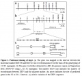 Thumbnail for version as of 15:53, 3 June 2014