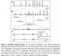 Thumbnail for version as of 16:00, 3 June 2014