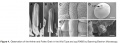 Thumbnail for version as of 10:03, 5 June 2014