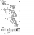 Thumbnail for version as of 02:30, 6 June 2014