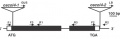 Thumbnail for version as of 15:52, 14 May 2014