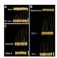 Thumbnail for version as of 01:53, 23 May 2014