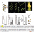 Thumbnail for version as of 08:36, 23 May 2014