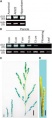 Thumbnail for version as of 06:46, 17 May 2014