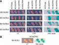 Thumbnail for version as of 17:03, 31 May 2014