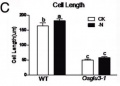 Thumbnail for version as of 07:38, 26 May 2014