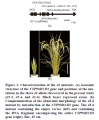 Thumbnail for version as of 03:54, 26 May 2014
