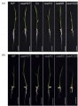 Thumbnail for version as of 16:36, 25 May 2014
