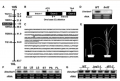 Thumbnail for version as of 01:22, 9 June 2014