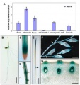 Thumbnail for version as of 13:01, 3 June 2014