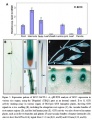 Thumbnail for version as of 13:57, 3 June 2014