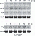 Thumbnail for version as of 14:51, 18 May 2014