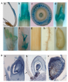 Thumbnail for version as of 09:39, 25 May 2014