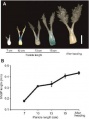 Thumbnail for version as of 06:17, 17 May 2014