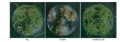 Thumbnail for version as of 17:39, 23 May 2014
