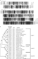Thumbnail for version as of 00:32, 10 June 2014