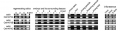 Thumbnail for version as of 10:53, 31 May 2014
