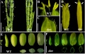 Thumbnail for version as of 02:17, 27 May 2014