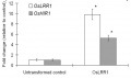 Thumbnail for version as of 16:32, 2 June 2014