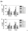 Thumbnail for version as of 11:50, 14 May 2014