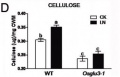 Thumbnail for version as of 06:52, 26 May 2014