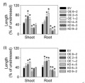 Thumbnail for version as of 11:57, 14 May 2014