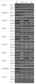 Thumbnail for version as of 10:33, 3 June 2014