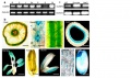 Thumbnail for version as of 12:40, 9 June 2014