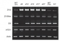 Thumbnail for version as of 18:23, 28 May 2014