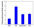 Thumbnail for version as of 17:48, 23 May 2014