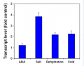 Thumbnail for version as of 18:18, 23 May 2014