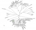 Thumbnail for version as of 15:58, 14 May 2014