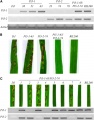 Thumbnail for version as of 06:20, 25 May 2014