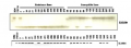 Thumbnail for version as of 14:40, 31 May 2014