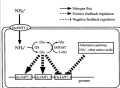 Thumbnail for version as of 15:06, 9 June 2014