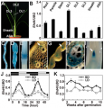 Thumbnail for version as of 03:22, 10 June 2014