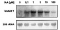 Thumbnail for version as of 16:40, 14 April 2013