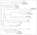 Thumbnail for version as of 05:26, 24 May 2014