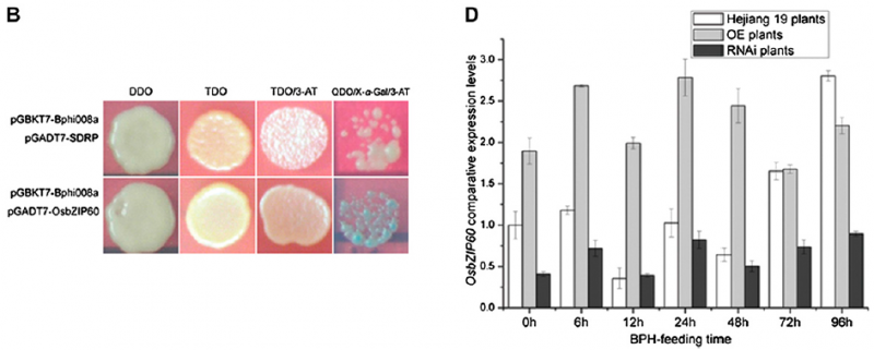 File:Fig.4w.png