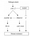 Thumbnail for version as of 11:18, 3 June 2014