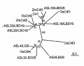 Thumbnail for version as of 11:12, 11 April 2013