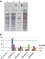 Thumbnail for version as of 02:27, 18 May 2014