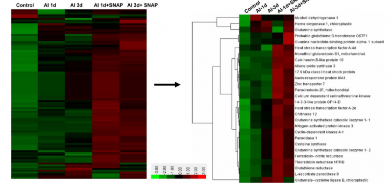 File:IC4R002-Proteomic-2013-23327584-3.png